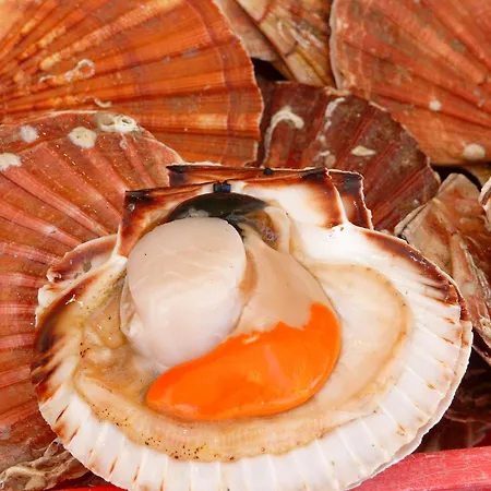 Ferienpark Les Tourelles Village De 4*