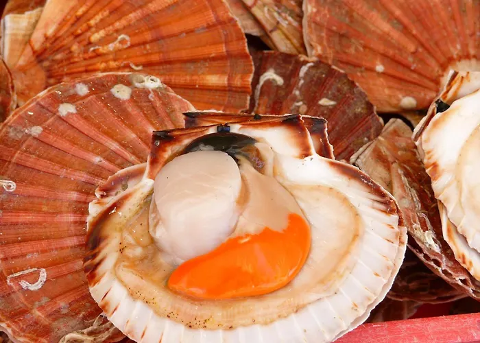 Holiday park Les Tourelles Village De 4*